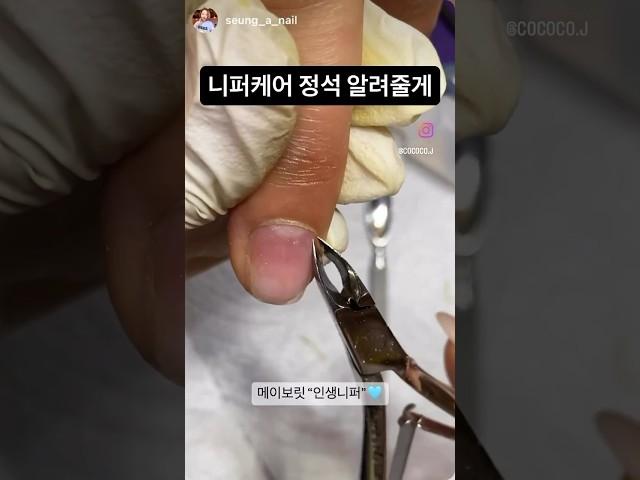 메이보릿인생니퍼 로 니퍼케어 알려줄게️