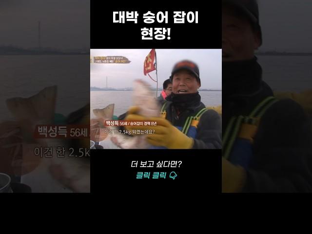 대박 숭어 잡이 현장! | 리얼다큐 숨