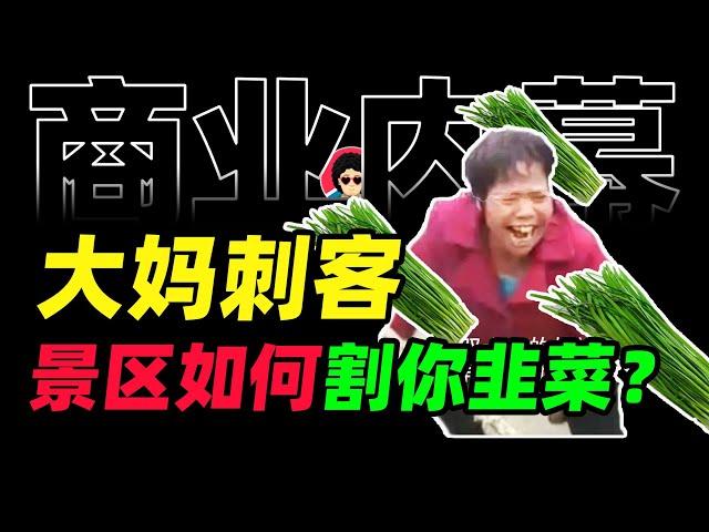 坏了，我中了导游大妈韭菜连环计，，，【牛顿&商业内幕】