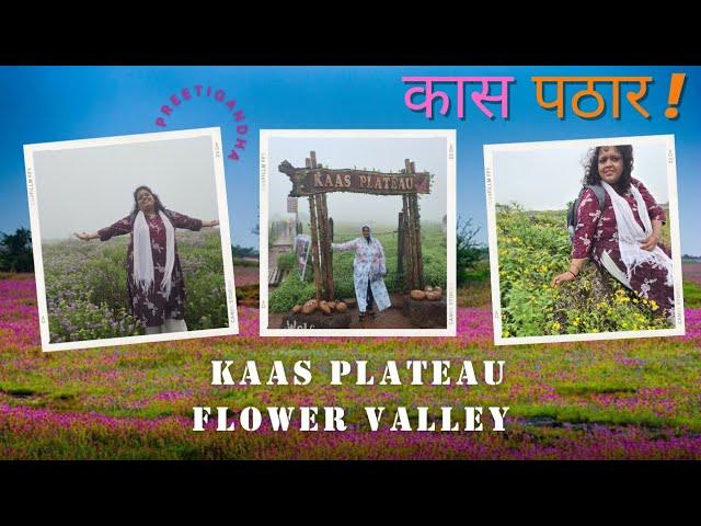 Kas Pathar Satara 2024 | How to reach Kaas Plateau by public transport | Online Booking 