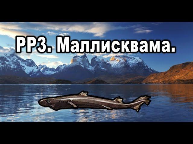 РР3. (Russian Fishing). Маллисквама. Королевская коллекция.