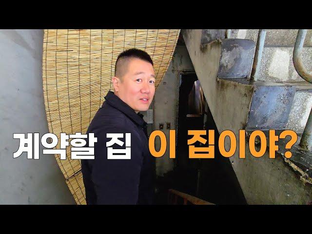 계약할 집 이 집이야?? #빌라전세 #중기청 #버팀목 #LH전세