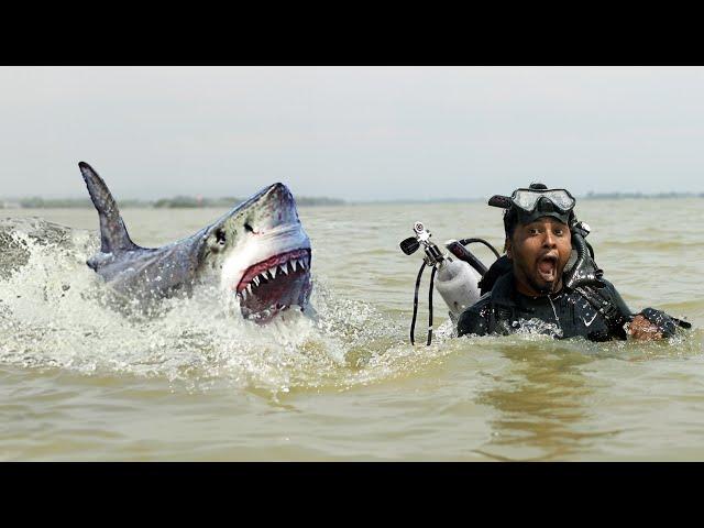 Shark Attack on Fishing Boat 10 | A great White Shark Attack Short Movie