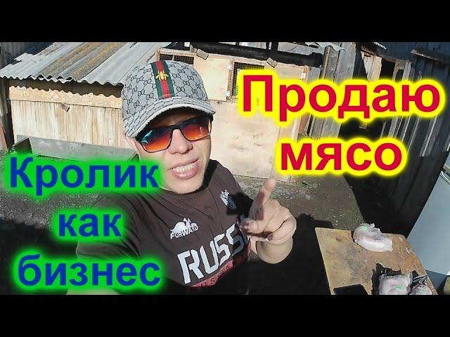 Как я продаю мясо кролика. Мой опыт!!! Кролики и бизнес!!!