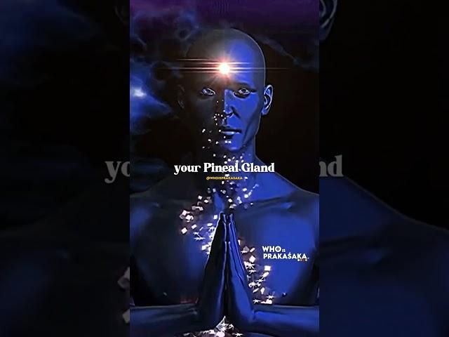 Pinocchio The Pineal Gland | Santos Bonacci #thirdeye