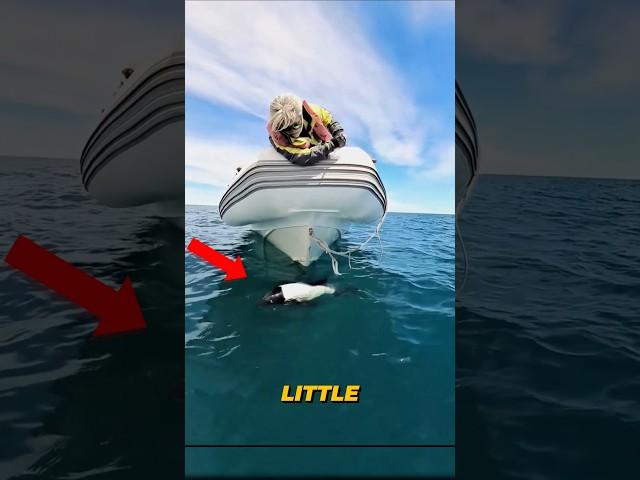 He found a curious little animal!