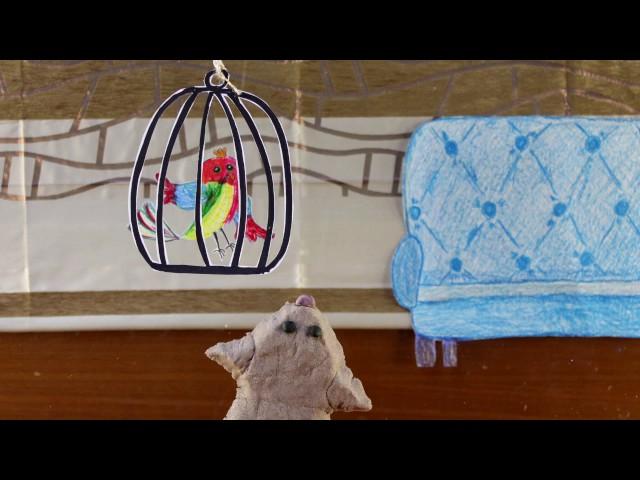 Кот-недосып