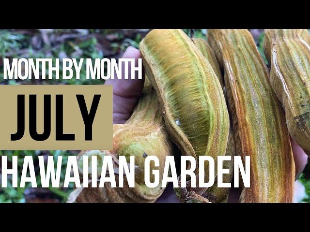 What To Do During The Month Of July In The Hawaiian Garden