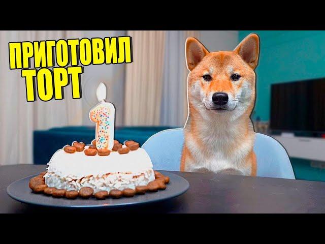 ВПЕРВЫЕ ПРИГОТОВИЛ ТОРТ МОЕЙ СОБАКЕ!