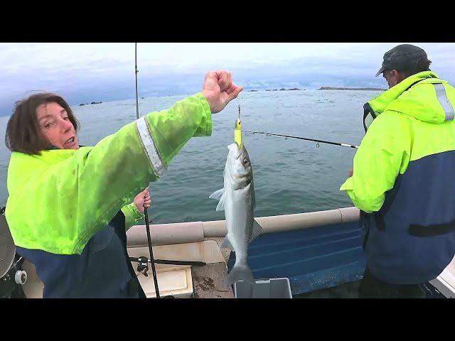 Bass & Pollack With Lazy Lures Bomb Squad & Bream With Bait