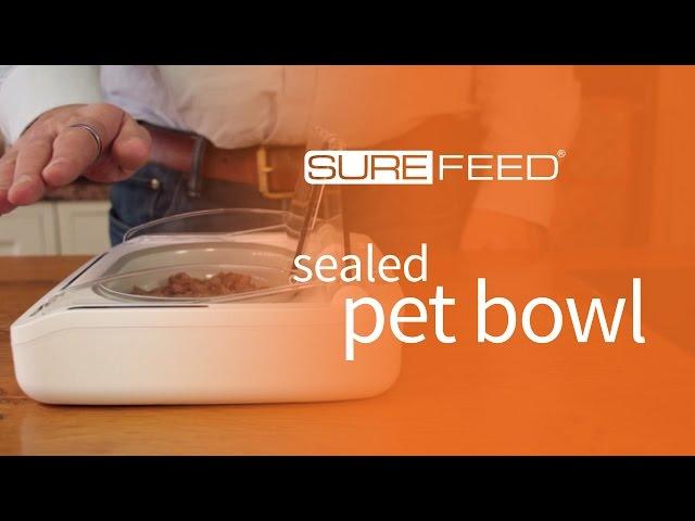SureFeed Sealed Pet Bowl Training Mode