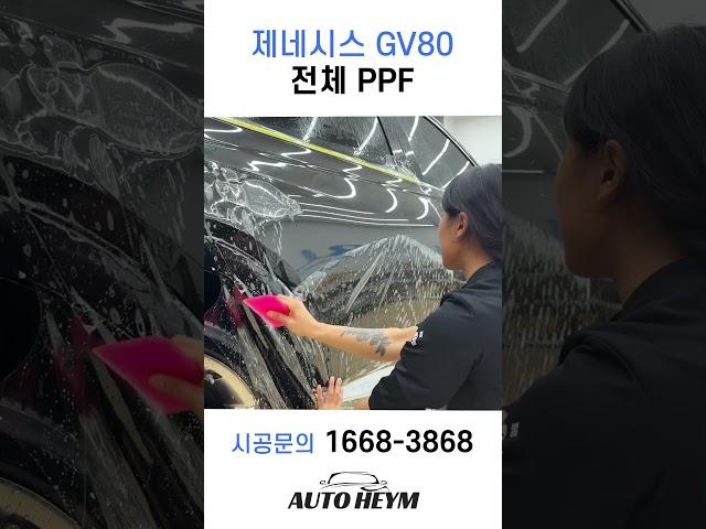 제네시스 GV80 전체 PPF 추천합니다.