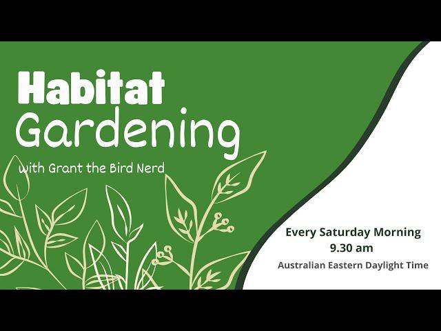 Habitat Gardening - 10 Reasons Why you need to include Myrtaceae plants in your garden