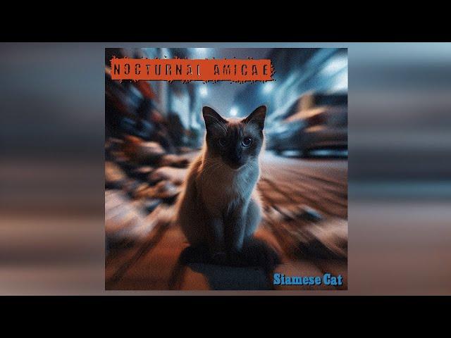 NOCTURNAL AMICAE - Siamese Cat [Indie Rock/Shoegaze - 122 BPM]