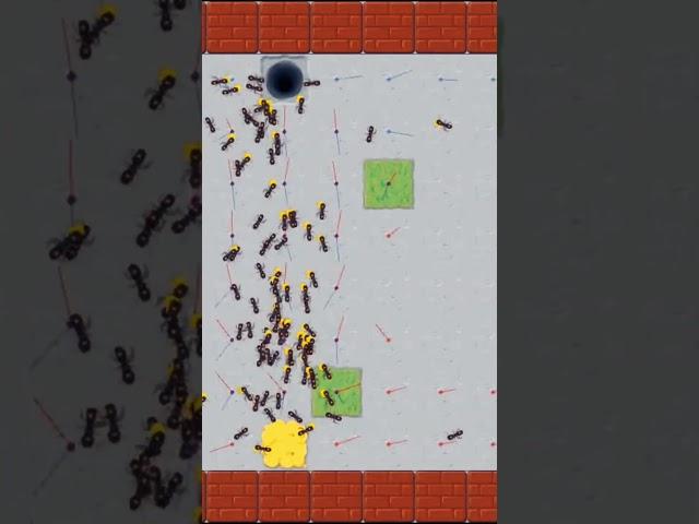 Ant Colony Optimization (ACO): Top Efficiency Hack For Better Organization | Ingenius Nature