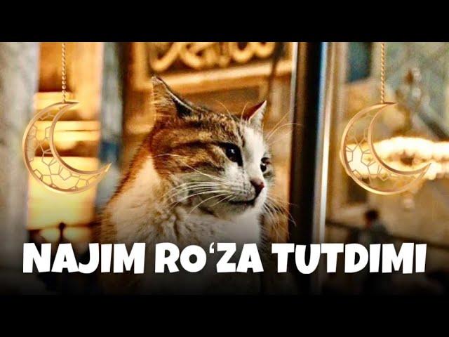 NAJIM ROZA TUTDIMI | AZIK BOOM DUBLAJLARI