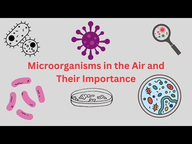 Microorganisms in Air and their Importance | Airborne Microorganisms | Aero-Microbiology |Aero flora