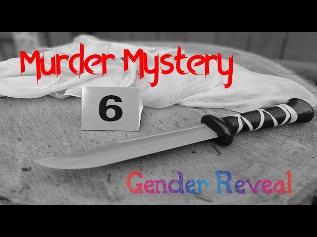 Murder Mystery / Gender Reveal