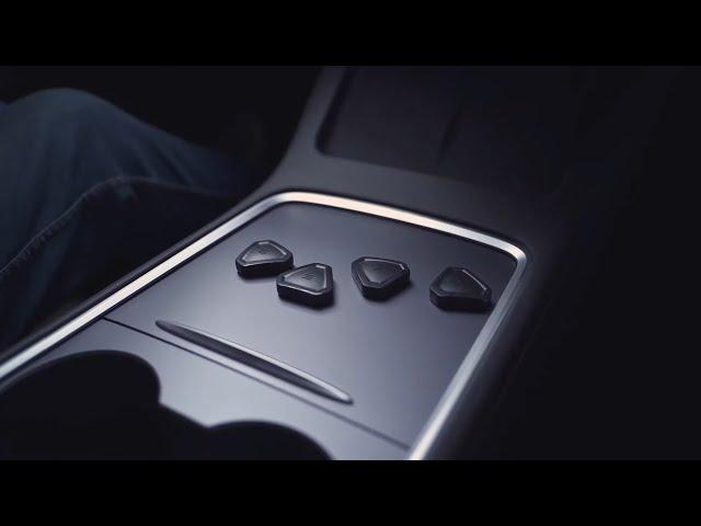 S3XY Buttons for Tesla - complete installation guide