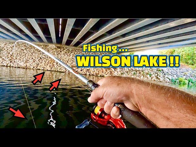 Fishing WILSON LAKE ( Multi Fish Species) on the TENNESSEE RIVER !!