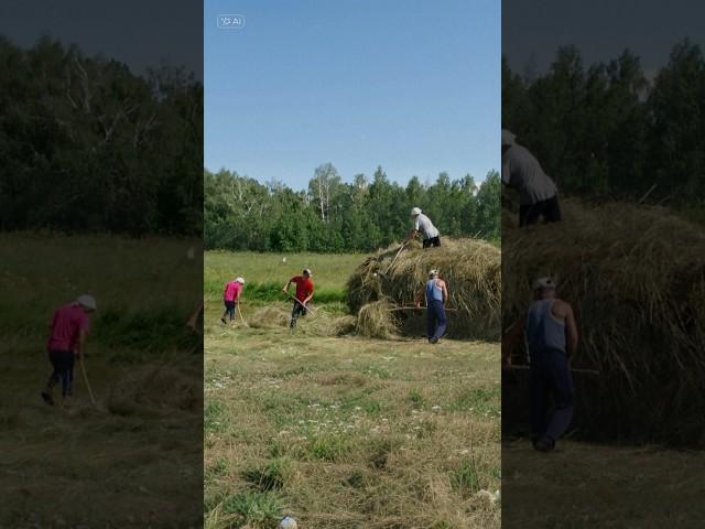 Ностальгия. Татарская песня нашей молодости.