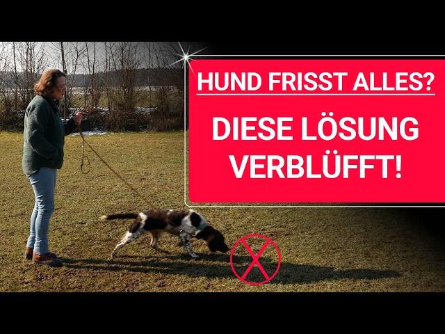  Hund frisst alles (vom Boden)  So STOPPST du das FRESSEN ️