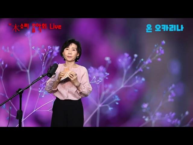 들꽃-조용필   #오카리나  연주