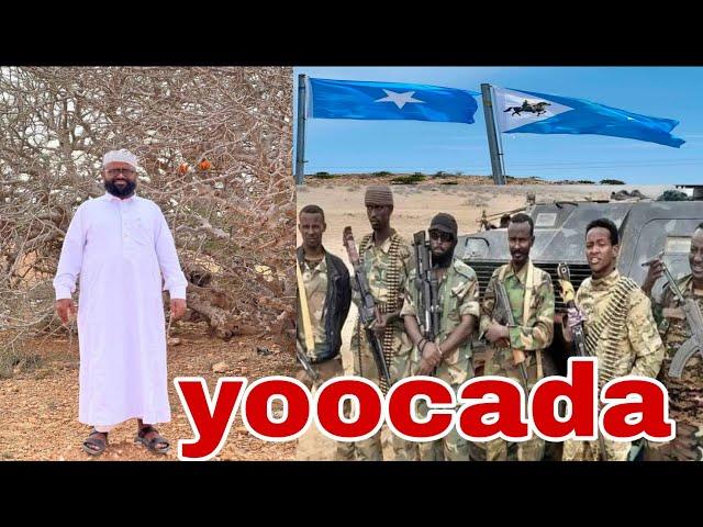 Wadaadadii iyo Ganacsatadii somaliland oo Yoocada sawiraan ku soo galaya iyo SSC oo ka xanaaqsan