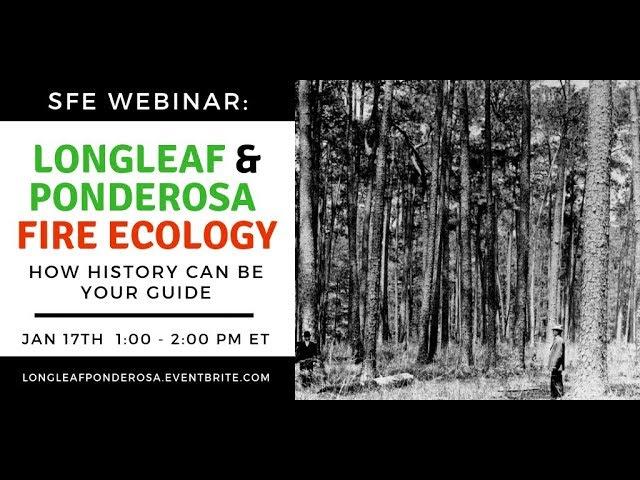 SFE Webinar: Longleaf and Ponderosa Pine Fire Ecology
