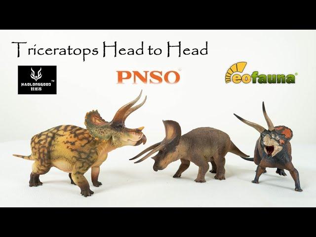 322: Triceratops Head to Head - Haolonggood vs EoFauna vs PNSO