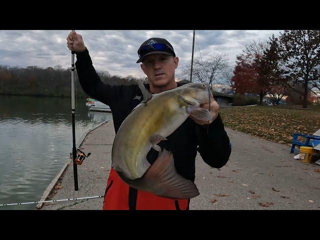 Guide to Catching Channel Catfish: Tips & Tricks for Beginners!  Information in the description.