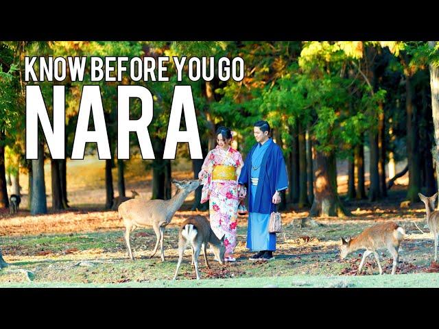 NARA - JAPAN | Things To Know Before You Go | Vacation Travel Guide