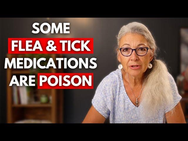 Are Flea & Tick Medications Safe for Our Pets?