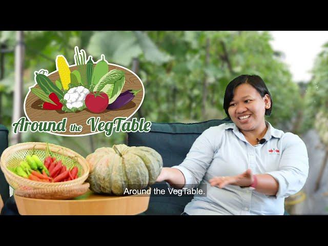 Teaser - Around the VegTable