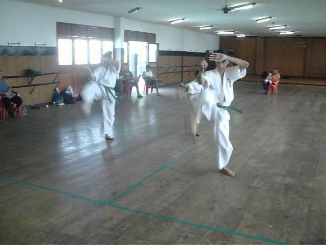 Pinan Sono Yon no Seminário de Karate Shinkyokushin- 07/04/2013