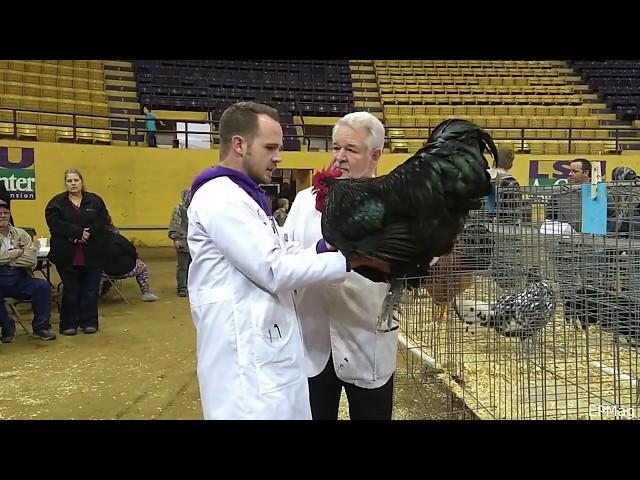 Champion Row With APA Judge Mike Schmidt & ABA Judge Brian Caraker (HD 720p)