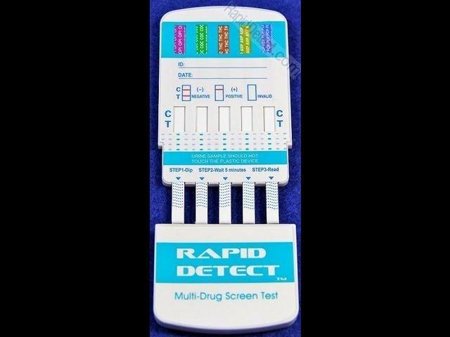 Rapid Detect Card Video Instructions (Procedure)