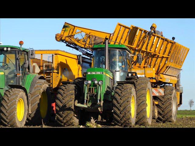 Two phase sugar beet harvest | classic John Deere 4455 + Bleinroth LB 20 loader / Rüben ladebunker