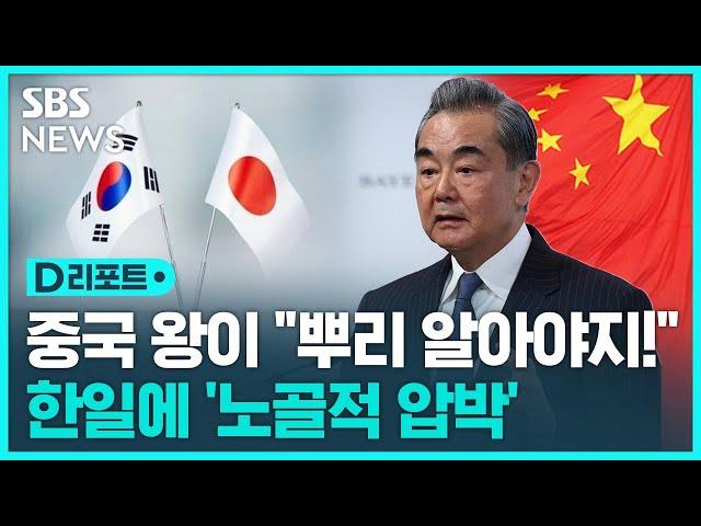 왕이 "노랑머리 염색하고 코 고쳐도 서양인 안 돼…뿌리 알아야" / SBS / #D리포트