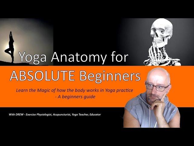 Yoga Anatomy for Absolute Beginners - learn the Magic of how the body works in Yoga Practice