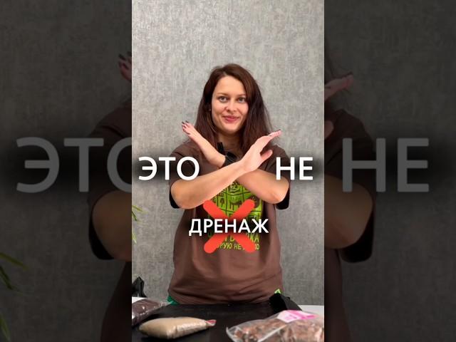 Это не дренаж! #дренаж #растения #комнатныецветы #полезныесоветы #безхимии #дача #обзор #plants