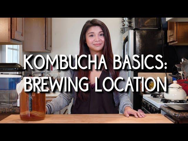 Kombucha Basics: Brewing Location