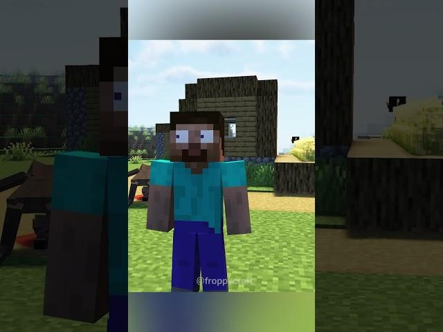 Minecraft Meme