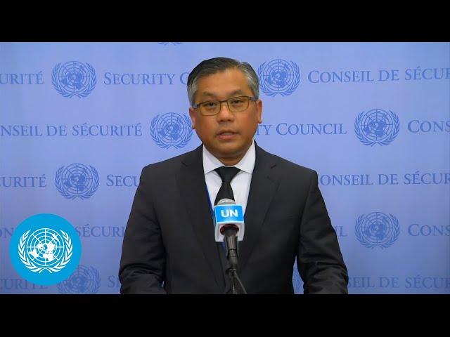 Myanmar on the situation in the country - Security Council Media Stakeout