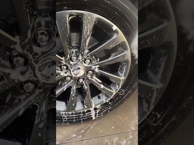 Ford Expedition Wheel Cleaning 🫣