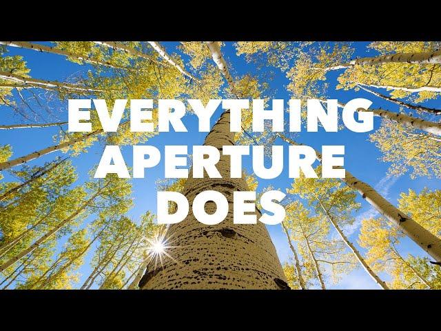 Every Single Effect of Aperture in Photography, Explained