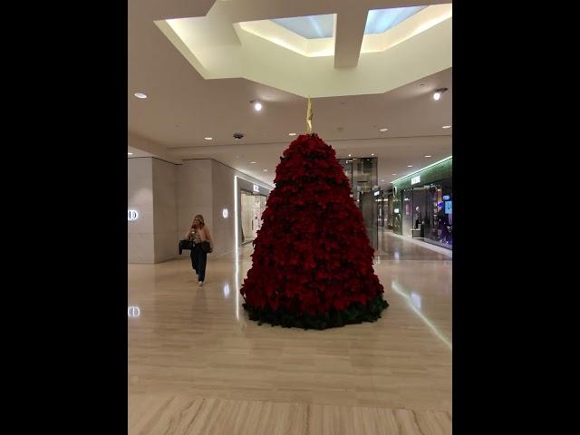 Luxury mall South Coast Plaza during the holidays in Costa Mesa,California 11.30.24