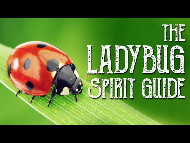 Ladybug Spirit Guide - Ask the Spirit Guides Oracle - Totem Animal, Power Animal - Magical Crafting