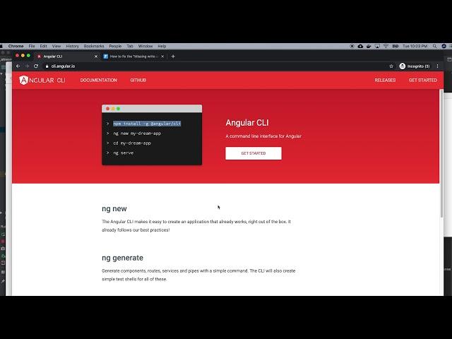 Installing Angular CLI and starting my first app in Mac