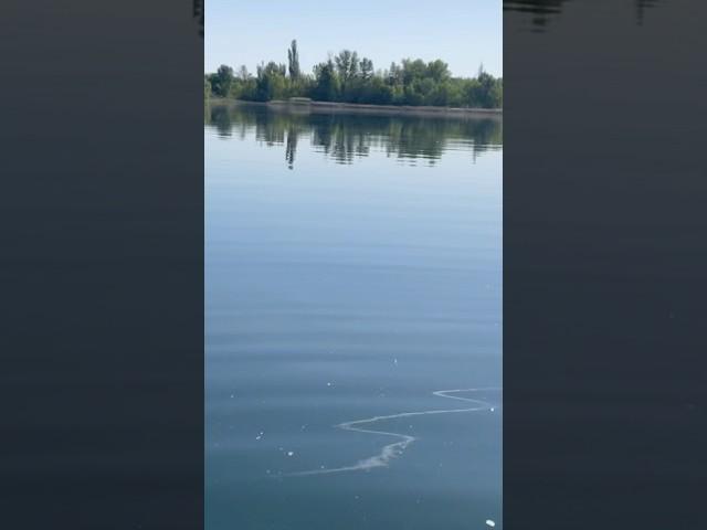 Old Geezer Goes Off the Grid River Floatin’ Therapy #trending #shorts #youtubeshorts